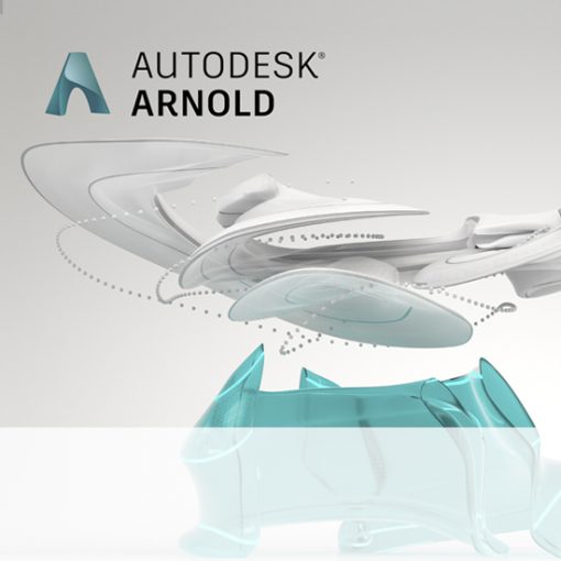 Autodesk arnold что это